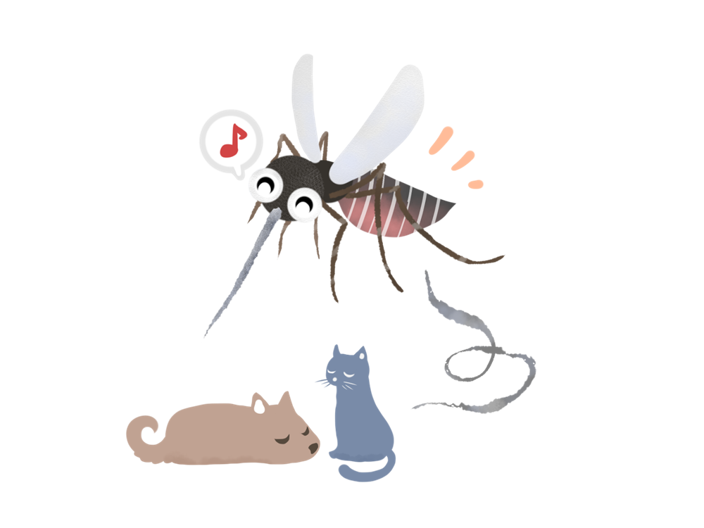 蚊のイラスト