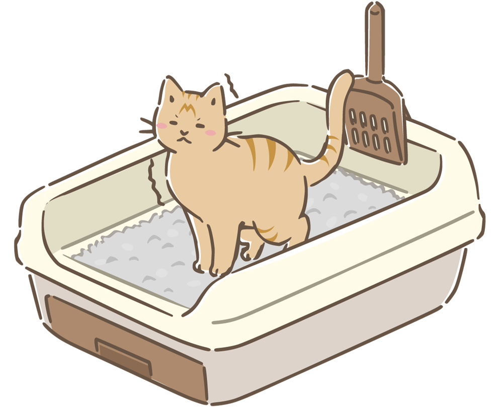 猫のトイレのイラスト